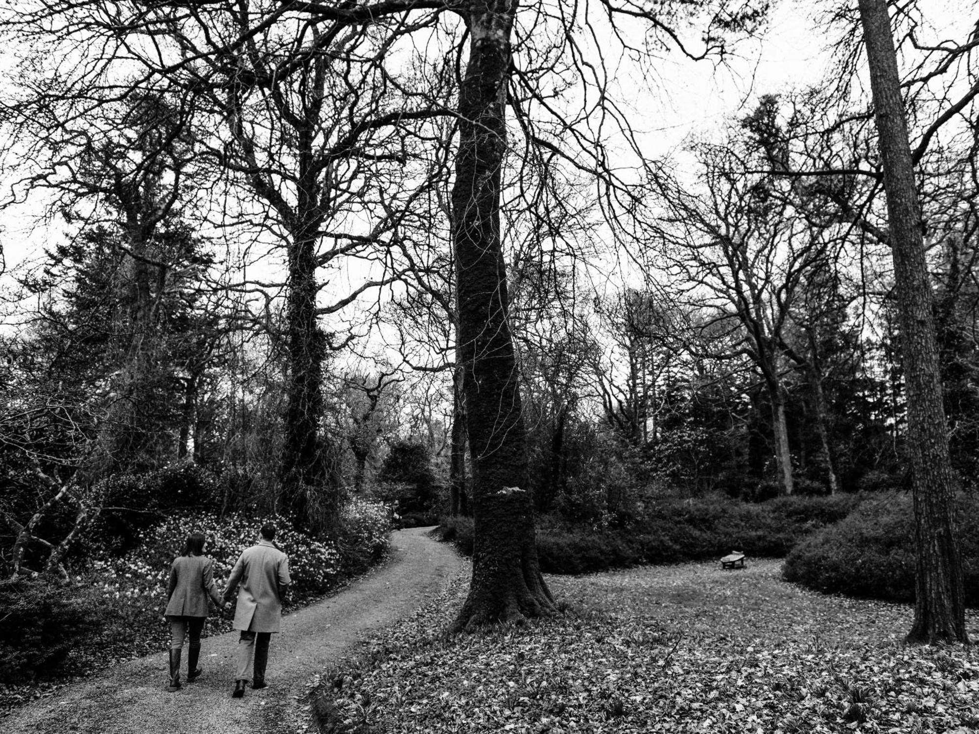 The Forest At Mount Congreve Gardens Kilmeaden المظهر الخارجي الصورة