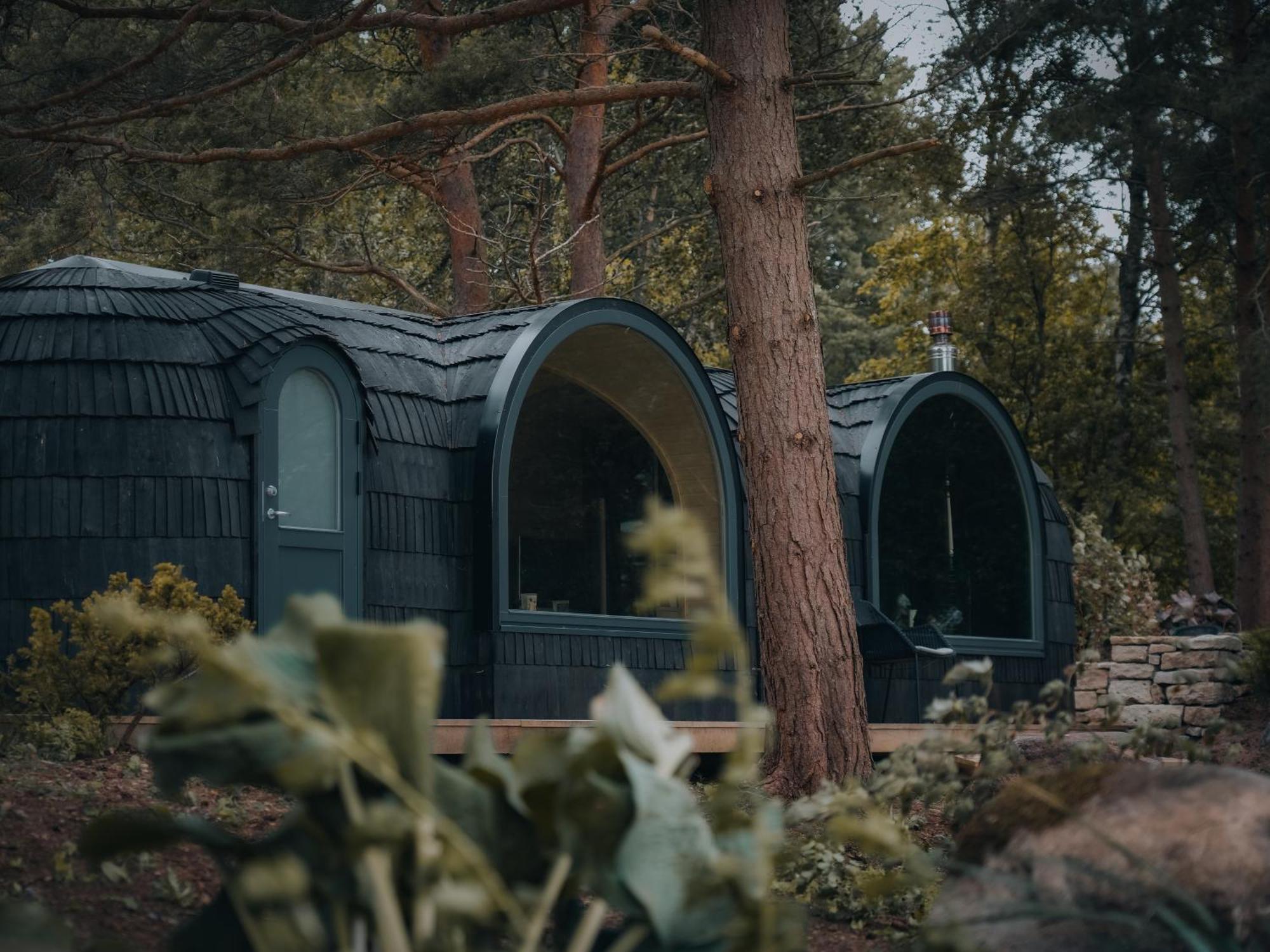 The Forest At Mount Congreve Gardens Kilmeaden المظهر الخارجي الصورة