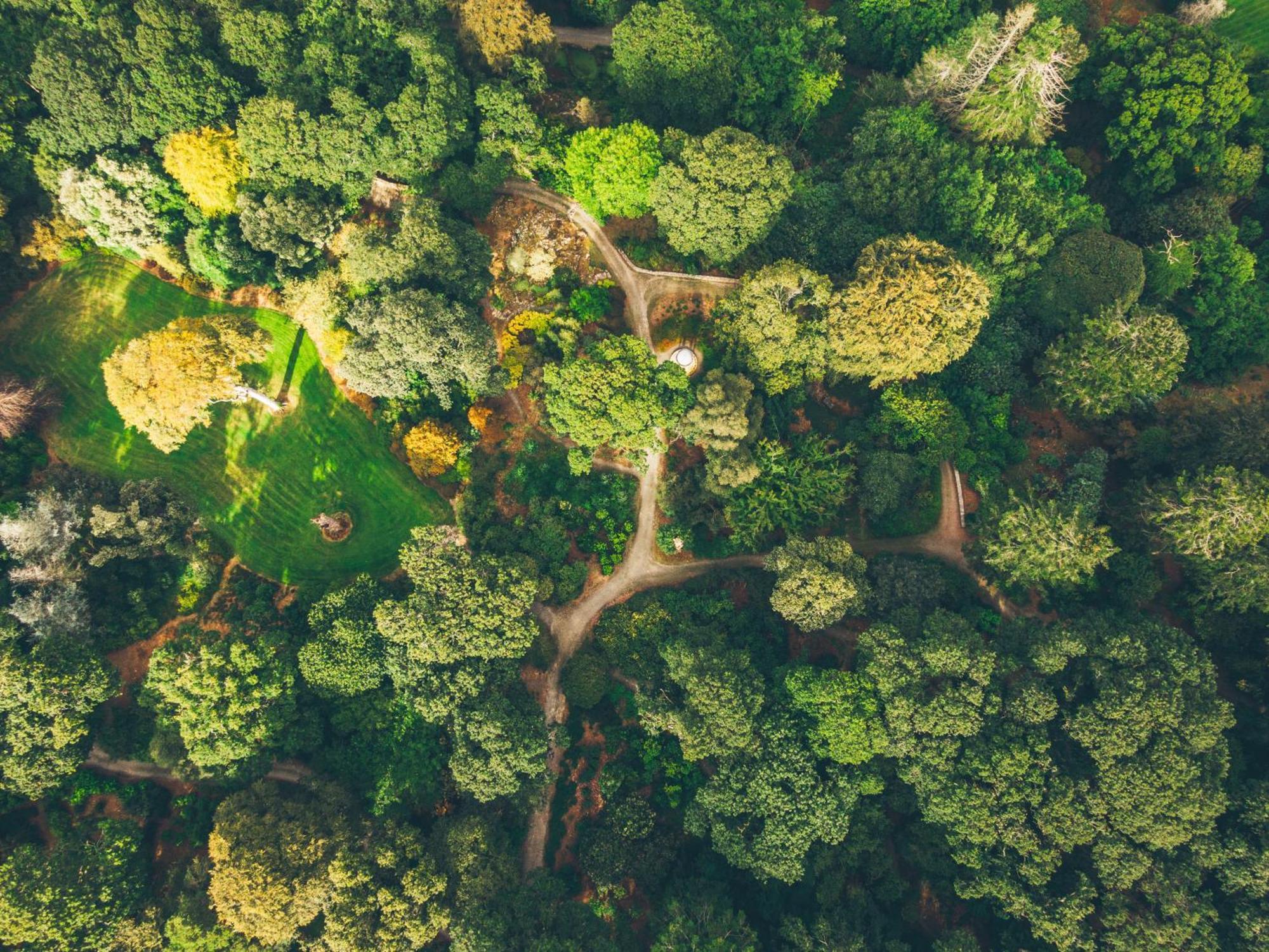 The Forest At Mount Congreve Gardens Kilmeaden المظهر الخارجي الصورة