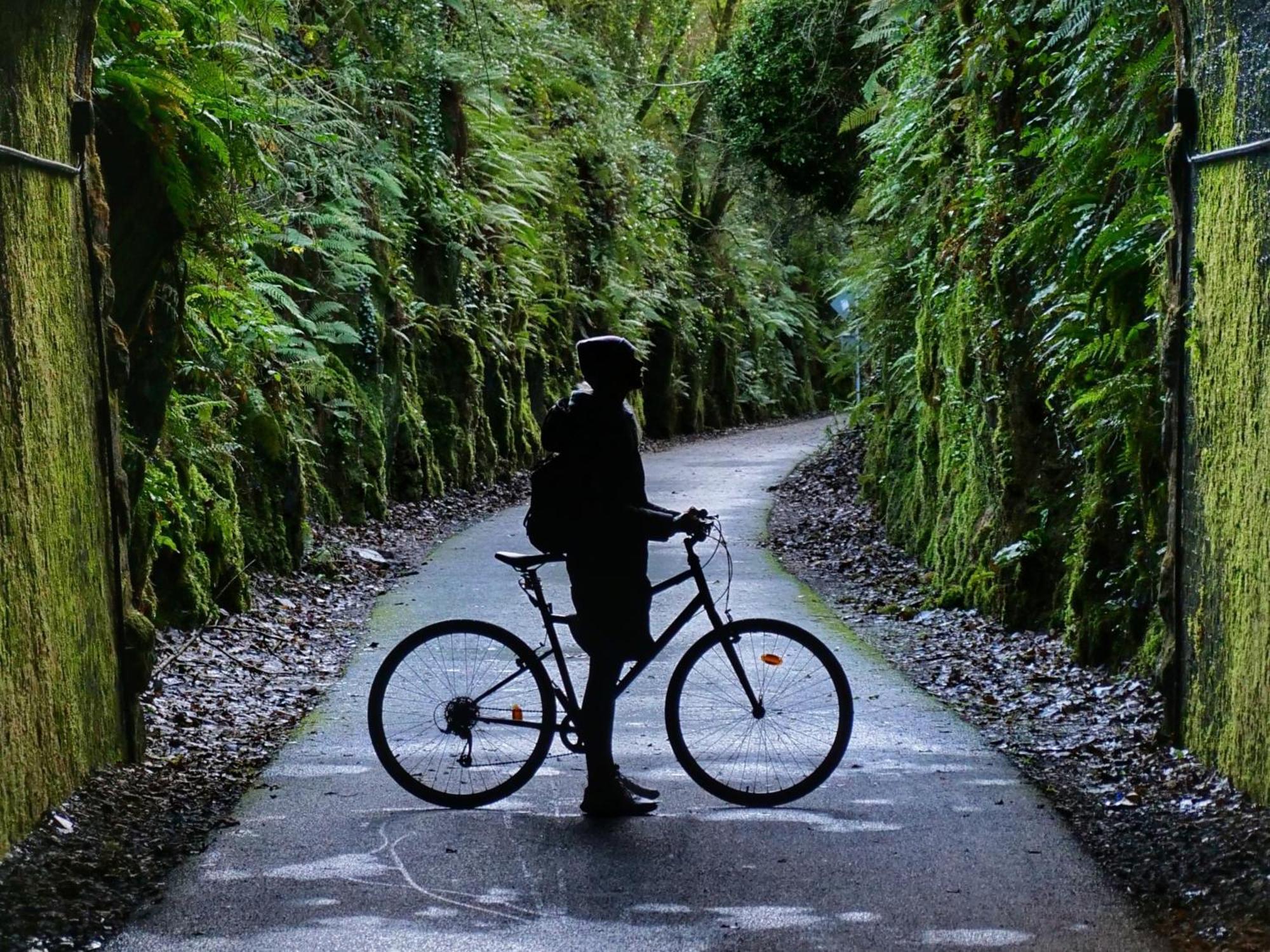 The Forest At Mount Congreve Gardens Kilmeaden المظهر الخارجي الصورة